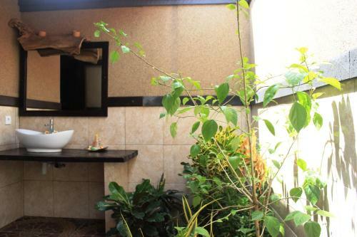 Hostal Pondok Shindu Guest House