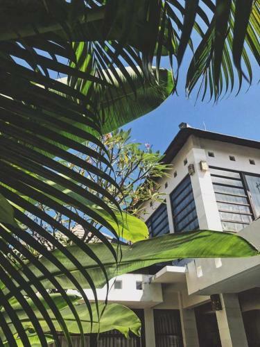 Alma Villas Seminyak