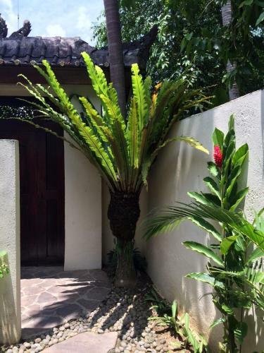Villa Bulan Mas