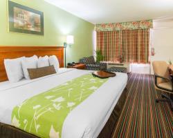 Hotel Quality Inn I-95 South