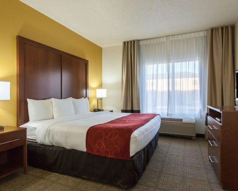 Hotel Comfort Suites Central/i-44