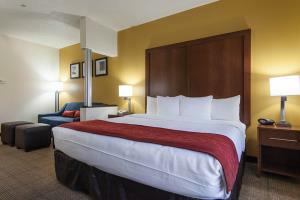 Hotel Comfort Suites Central/i-44