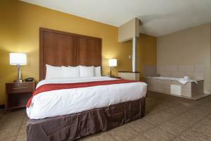 Hotel Comfort Suites Central/i-44