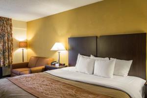 Hotel Comfort Inn
