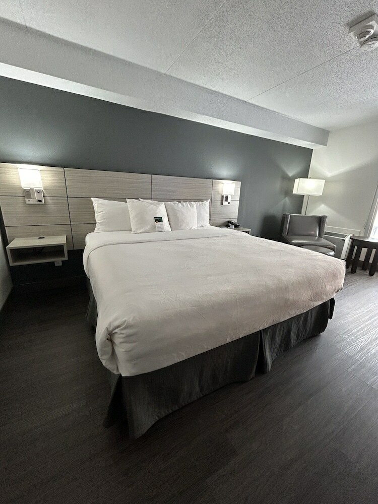 Hotel Comfort Inn Leamington