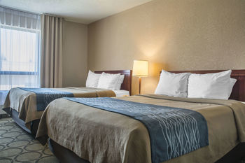 Hotel Comfort Inn - London