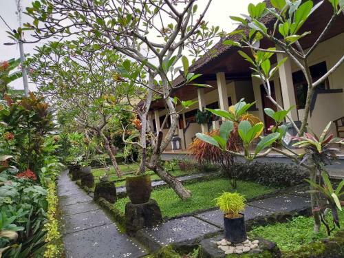 Hostal Detri Inn