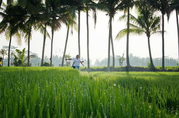 Bhuwana Ubud Hotel