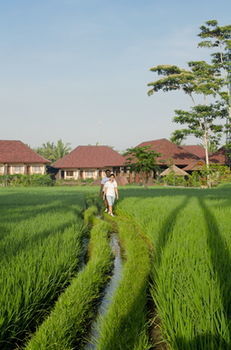 Bhuwana Ubud Hotel