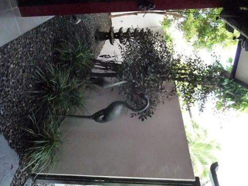 Bonsai Villas