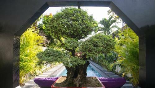 Bonsai Villas