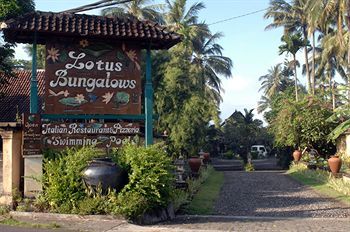 Hotel Lotus Bungalows