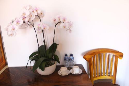 Hostal Agus Tri Homestay