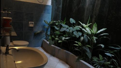 Amarta Beach Cottages