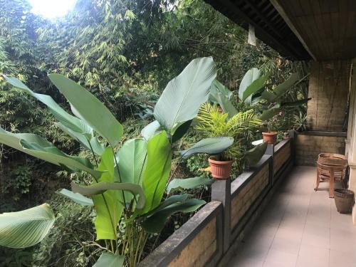 Suastika Bed & Breakfast