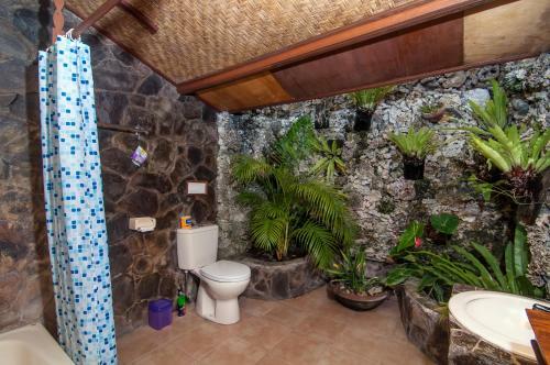 Temple Cafe & Seaside Cottages