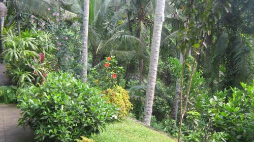 Hostal Mahanadewi Villa