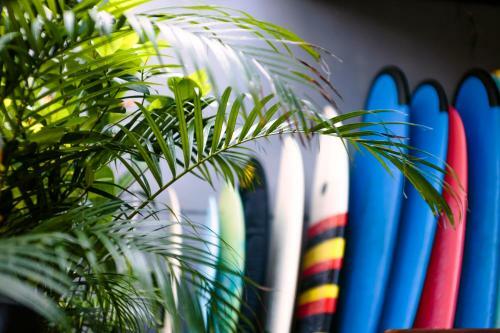 Hostal Surfers House
