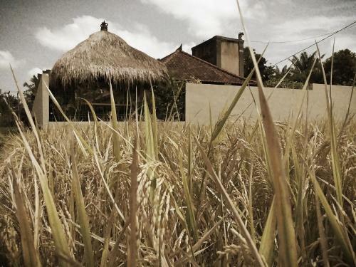 Rumah Abian Village
