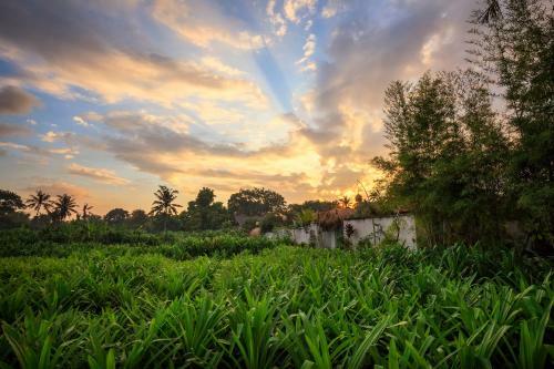 The Pandan Tree Villas
