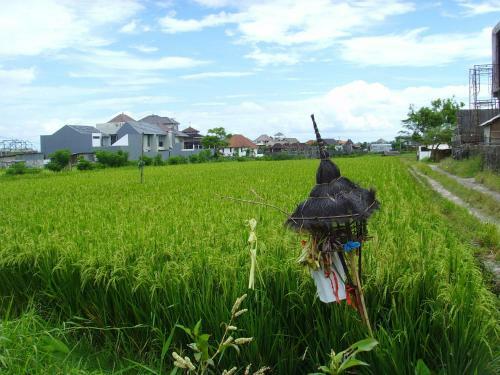 Hostal Jonsen Homestay
