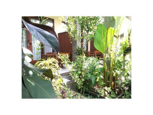 Hostal Narendra Guest House