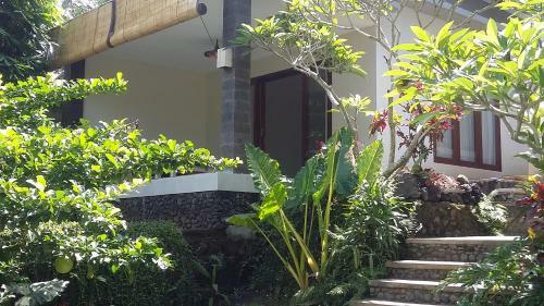 The Bali Shanti