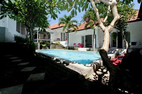 Hostal White Dove Villa