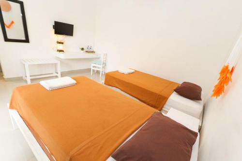 Hostal White Dove Villa