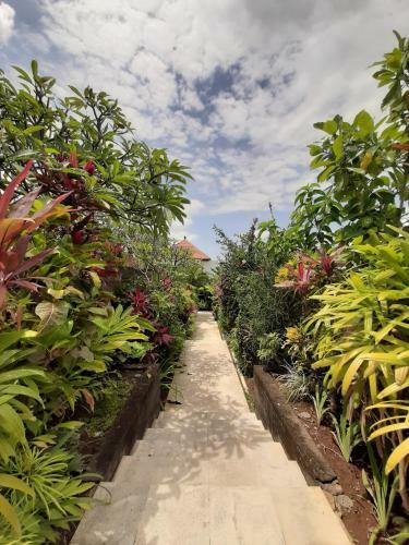 Hostal The Bija Villas