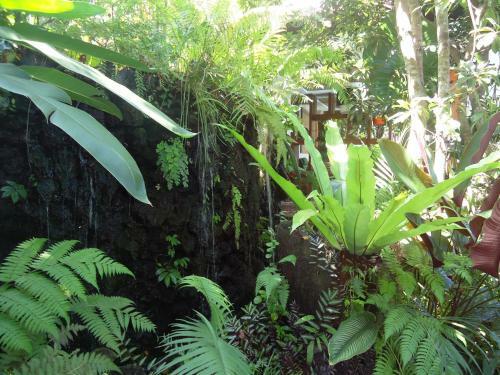 Hotel Yulia Village Inn Ubud