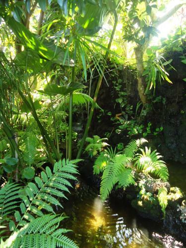 Hotel Yulia Village Inn Ubud
