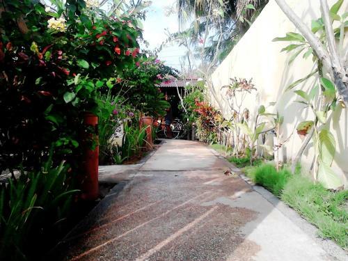 Hostal Aura Bungalow