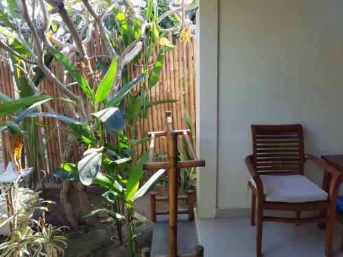 Hostal Aura Bungalow