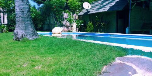 Hostal Oasi Bungalows