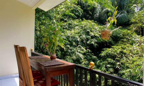 Warsa Guesthouse