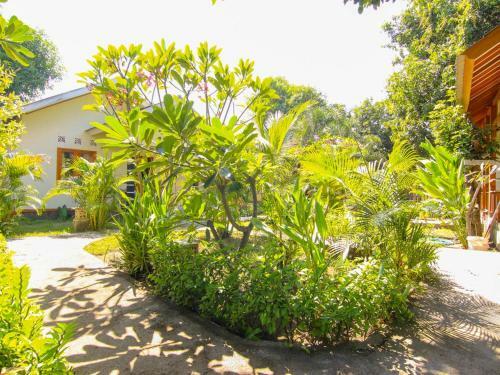 Hostal Yoland Guesthouse