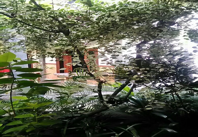 Hostal Jamess Bungalow