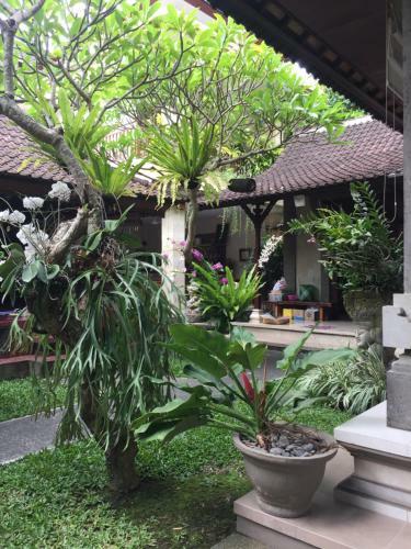 Hostal Teja Home Stay