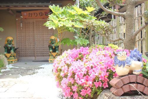 Albergue Shirahama Churari