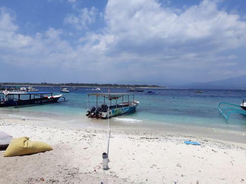 Dream Divers Resort