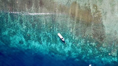Dream Divers Resort