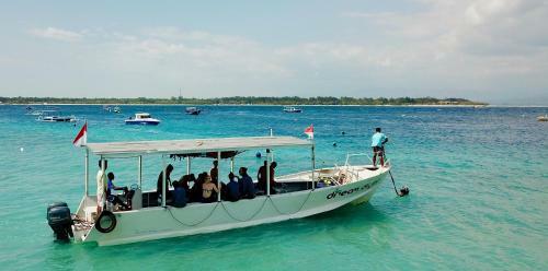 Dream Divers Resort
