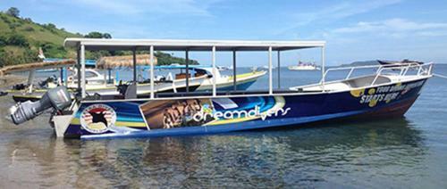Dream Divers Resort