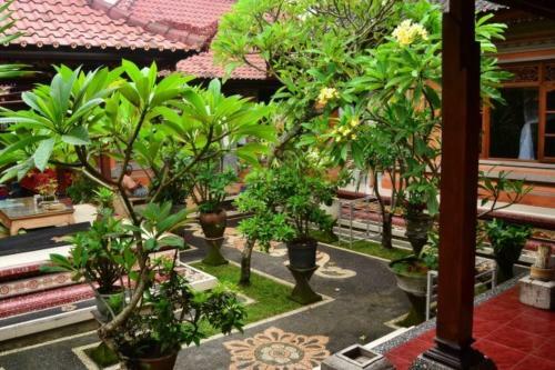 Nyoman Murjana Homestay