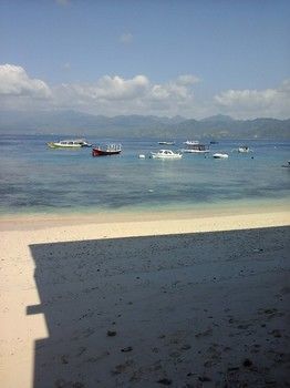 Hotel Beach Wind Bungalow