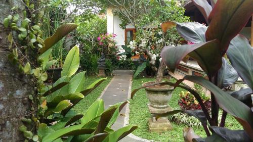Hostal Suryadina Guest House