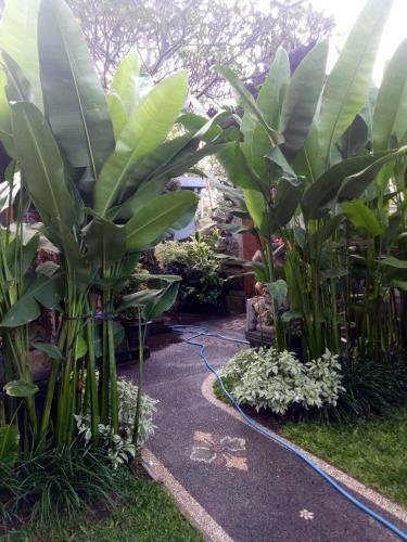 Hostal Suryadina Guest House