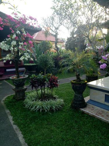 Hostal Suryadina Guest House