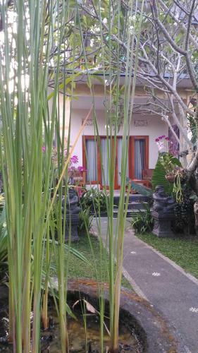Hostal Suryadina Guest House